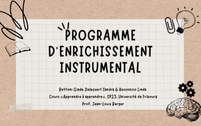 Le Programme d’Enrichissement Instrumental (PEI)